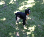 July4th2011 265